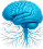 مغز و اعصاب